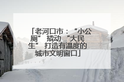 老河口市：“小公厕” 撬动 “大民生” 打造有温度的城市文明窗口