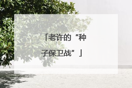 老许的“种子保卫战”