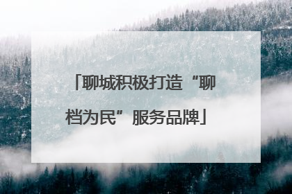 聊城积极打造“聊档为民”服务品牌