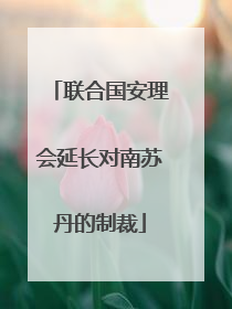 联合国安理会延长对南苏丹的制裁