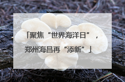 聚焦“世界海洋日”，郑州海昌再“添新”