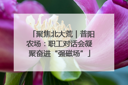 聚焦北大荒｜普阳农场：职工对话会凝聚奋进“强磁场”