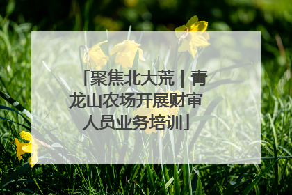 聚焦北大荒｜青龙山农场开展财审人员业务培训