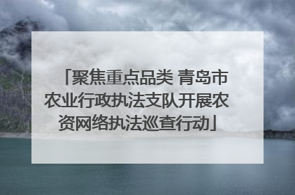 聚焦重点品类 青岛市农业行政执法支队开展农资网络执法巡查行动