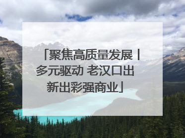 聚焦高质量发展丨多元驱动 老汉口出新出彩强商业