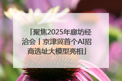 聚焦2025年廊坊经洽会丨京津冀首个AI招商选址大模型亮相