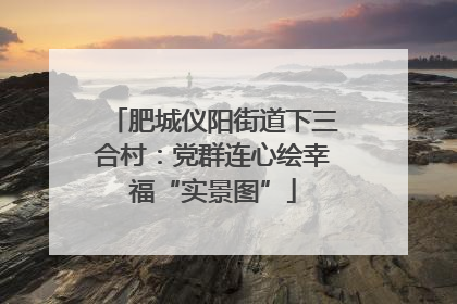 肥城仪阳街道下三合村：党群连心绘幸福“实景图”