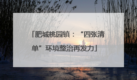 肥城桃园镇：“四张清单”环境整治再发力