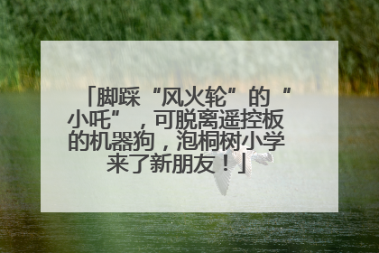 脚踩“风火轮”的“小吒”，可脱离遥控板的机器狗，泡桐树小学来了新朋友！