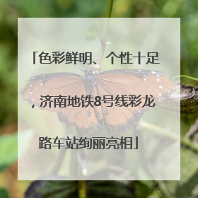 色彩鲜明、个性十足，济南地铁8号线彩龙路车站绚丽亮相