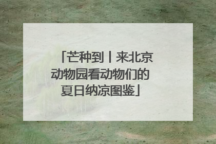 芒种到丨来北京动物园看动物们的夏日纳凉图鉴