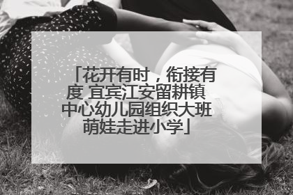花开有时，衔接有度 宜宾江安留耕镇中心幼儿园组织大班萌娃走进小学