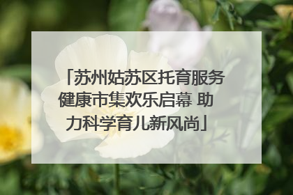 苏州姑苏区托育服务健康市集欢乐启幕 助力科学育儿新风尚