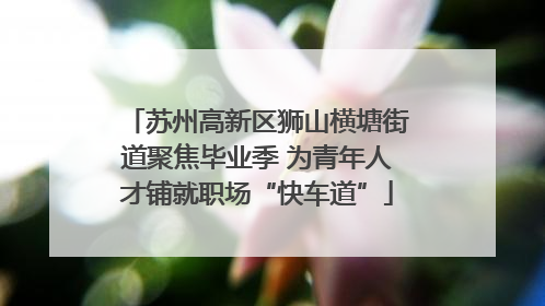 苏州高新区狮山横塘街道聚焦毕业季 为青年人才铺就职场“快车道”