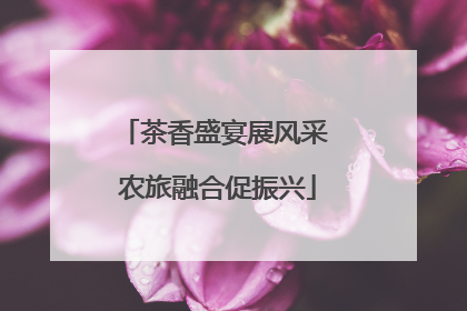 茶香盛宴展风采 农旅融合促振兴