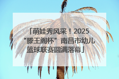 萌娃秀风采！2025“滕王阁杯”南昌市幼儿篮球联赛圆满落幕