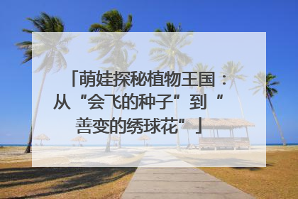 萌娃探秘植物王国：从“会飞的种子”到“善变的绣球花”