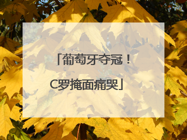 葡萄牙夺冠！C罗掩面痛哭