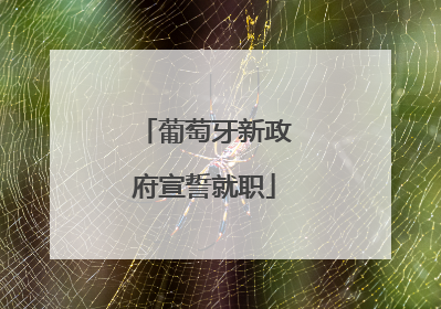 葡萄牙新政府宣誓就职