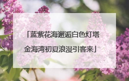 蓝紫花海邂逅白色灯塔 金海湾初夏浪漫引客来