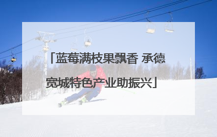 蓝莓满枝果飘香 承德宽城特色产业助振兴