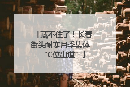 藏不住了！长春街头耐寒月季集体“C位出道”