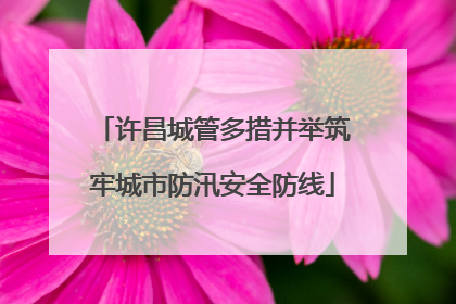 许昌城管多措并举筑牢城市防汛安全防线