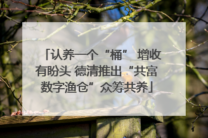 认养一个“桶” 增收有盼头 德清推出“共富数字渔仓”众筹共养