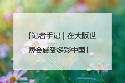 记者手记｜在大阪世博会感受多彩中国