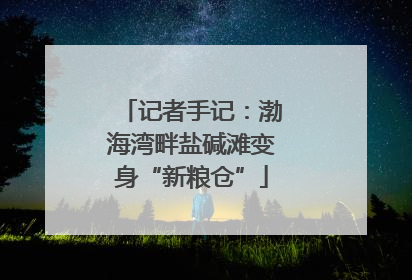 记者手记：渤海湾畔盐碱滩变身“新粮仓”