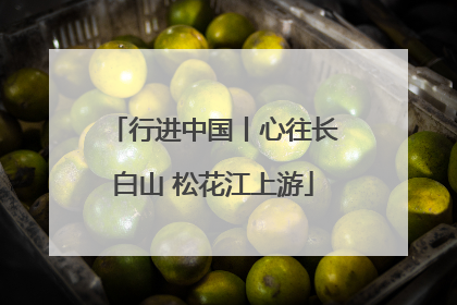 行进中国丨心往长白山 松花江上游