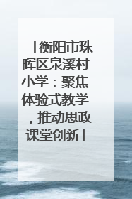 衡阳市珠晖区泉溪村小学：聚焦体验式教学，推动思政课堂创新