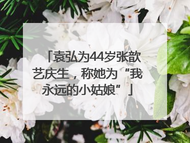 袁弘为44岁张歆艺庆生，称她为“我永远的小姑娘”