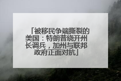 被移民争端撕裂的美国：特朗普绕开州长调兵，加州与联邦政府正面对抗