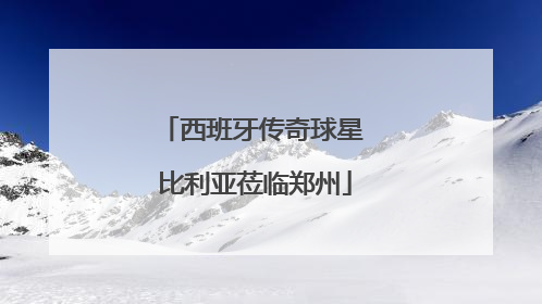 西班牙传奇球星 比利亚莅临郑州
