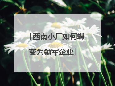西南小厂如何蝶变为领军企业