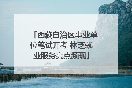 西藏自治区事业单位笔试开考 林芝就业服务亮点频现