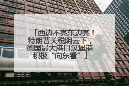 西边不亮东边亮！特朗普关税阴云下，德国最大港口汉堡港积极“向东看”