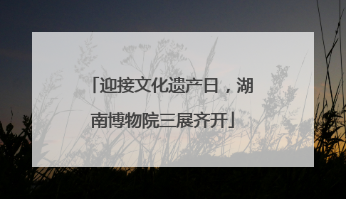 迎接文化遗产日，湖南博物院三展齐开