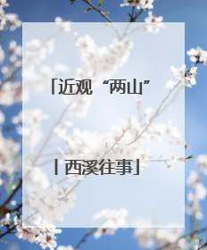 近观“两山”丨西溪往事