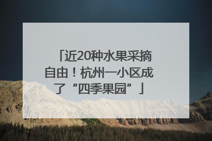近20种水果采摘自由！杭州一小区成了“四季果园”
