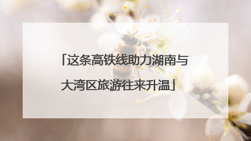 这条高铁线助力湖南与大湾区旅游往来升温