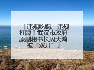 违规吃喝、违规打牌！武汉市政府原副秘书长周大鸿被“双开”