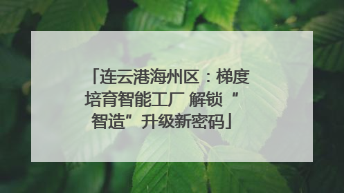 连云港海州区：梯度培育智能工厂 解锁“智造”升级新密码