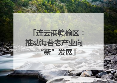连云港赣榆区：推动海苔老产业向“新”发展