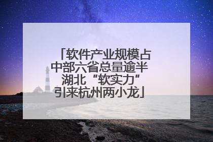 软件产业规模占中部六省总量逾半 湖北“软实力”引来杭州两小龙