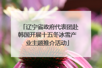 辽宁省政府代表团赴韩国开展十五冬冰雪产业主题推介活动