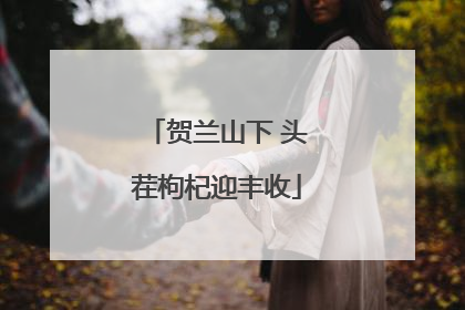 贺兰山下 头茬枸杞迎丰收