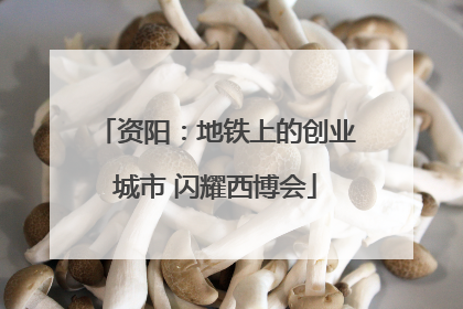 资阳：地铁上的创业城市 闪耀西博会