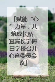 赋能“心”力量，共筑成长桥 宜宾长宁梅白学校召开心育委员会议